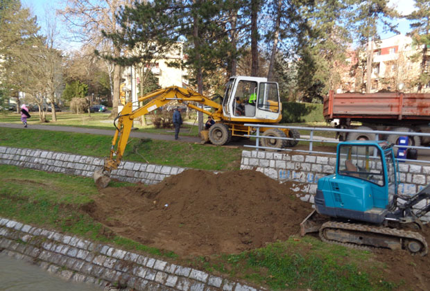 Лозница кроти Штиру